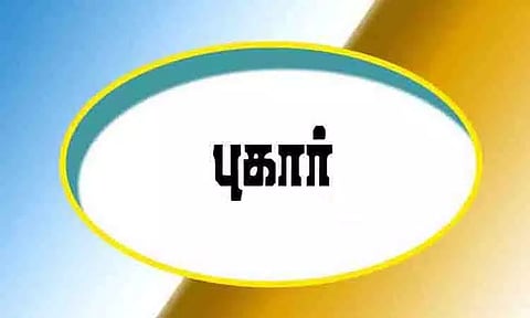 பனைமரங்களை வெட்டிய மர்ம நபர்கள்