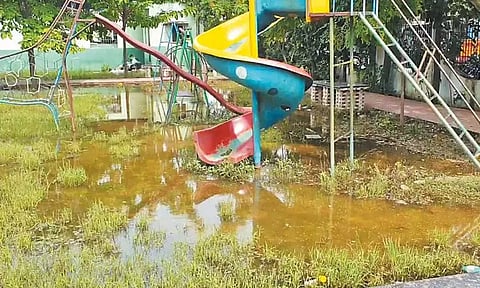 பூந்தமல்லியில் பூங்காவில் குளம்போல் தேங்கி நிற்கும் மழைநீர்; டெங்கு கொசுக்கள் உற்பத்தியாவதாக பொதுமக்கள் புகார்