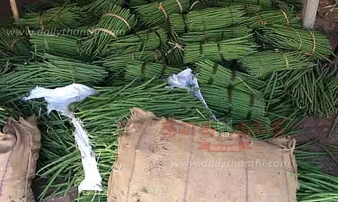 வரத்து குறைவால் முருங்கைக்காய் கிலோ ரூ.60-க்கு விற்பனை
