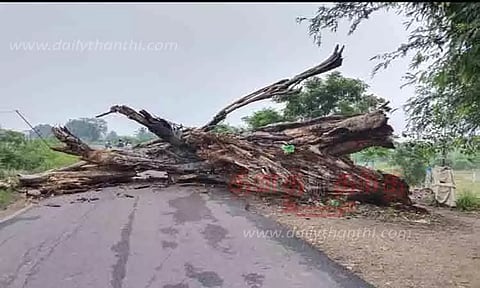 ஆலமரம் விழுந்ததால் போக்குவரத்து பாதிப்பு