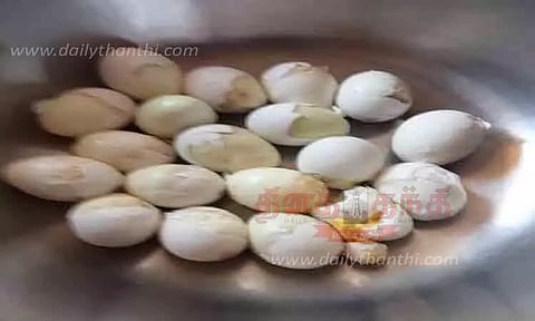 சத்துணவுக்காக வழங்கப்பட்டதில் அழுகிய முட்டைகள்