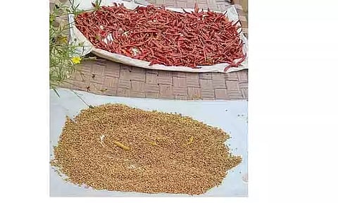 வரமிளகாய், மல்லி விலை உயர்வால் இல்லத்தரசிகள் கவலை