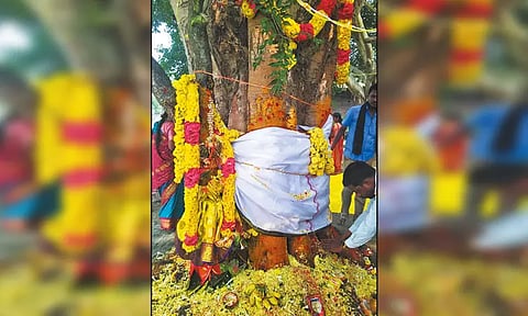 உலக நன்மை வேண்டி மரங்களுக்கு திருமணம் செய்து வைத்த வினோதம் - அழைப்பிதழ் வைத்து கிராம மக்கள் அழைப்பு