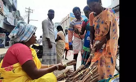 பனங்கிழங்கு சீசன் தொடக்கம்