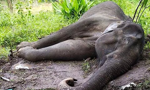 கோப்புப்படம்