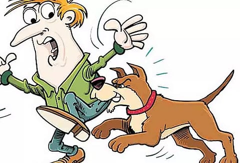 வெறிநாய்கள் கடித்து 3 பேர் படுகாயம்