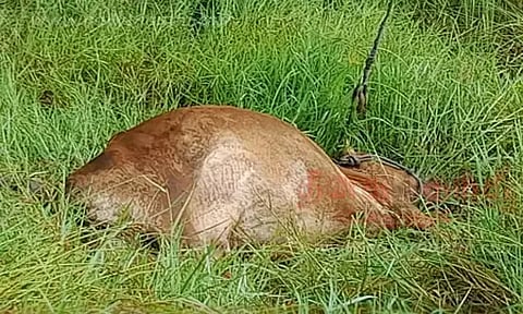 கோப்புப்படம்: