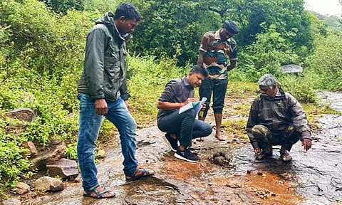 கொட்டும் மழையில் வனவிலங்குகள் கணக்கெடுப்பு பணி