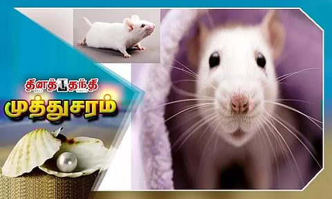 எலிகள் உயிர்வாழ குறைந்த ஆக்சிஜன் போதும்..!