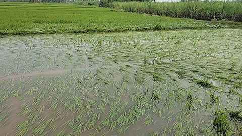 ஓடை கரை உடைந்து கிராமத்துக்குள் புகுந்த காட்டாற்று வெள்ளம்