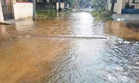 ஊரப்பாக்கம் ஜெகதீஷ்நகர் பகுதியில் வீடுகளை சூழ்ந்து நிற்கும் மழைநீரால் பொதுமக்கள் அவதி