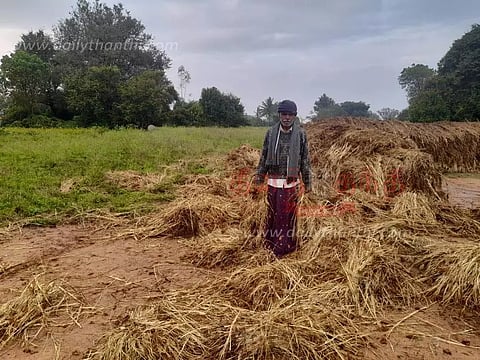 ராகி பயிரை சேதப்படுத்திய யானைகள்