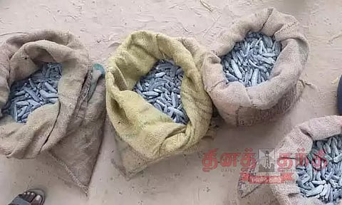 1 டன் கடல் அட்டைகள் பறிமுதல்