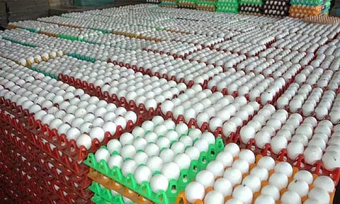 மலேசியாவில் முட்டை தட்டுப்பாடு: முதல் முறையாக நாமக்கல்லில் இருந்து ஏற்றுமதி