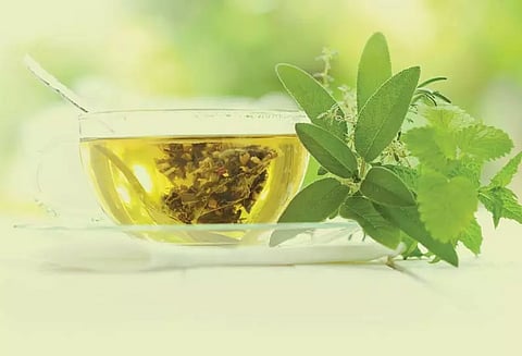 யாரெல்லாம் 'கிரீன் டீ' தவிர்க்க வேண்டும்?