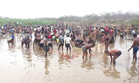 மணப்பாறை அருகே 15 ஆண்டுகளுக்கு பிறகு நடந்த மீன்பிடித் திருவிழா...! பொதுமக்கள் மகிழ்ச்சி