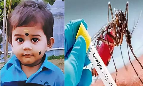 காஞ்சீபுரத்தில் டெங்கு காய்ச்சலுக்கு 1½ வயது குழந்தை சாவு