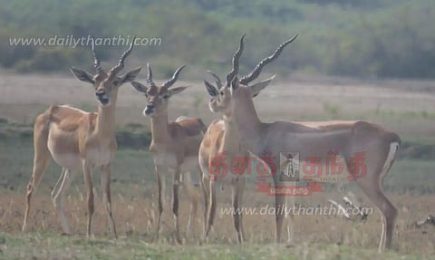 சுற்றுலா பயணிகள் சுற்றிபார்க்க அனைத்து வசதிகளும் செய்யப்பட்டுள்ளது