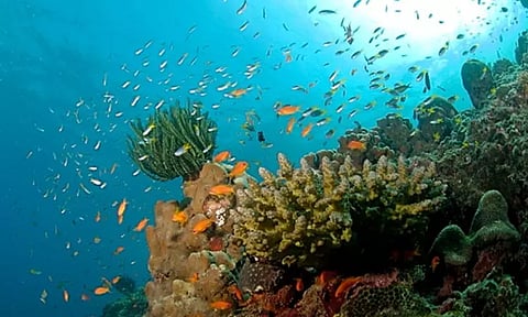 ஆழ்கடலுக்குள் மனிதனை அனுப்பும் "சமுத்ராயன் திட்டம்" 2026-ல் நிறைவுபெறும் - மத்திய அரசு