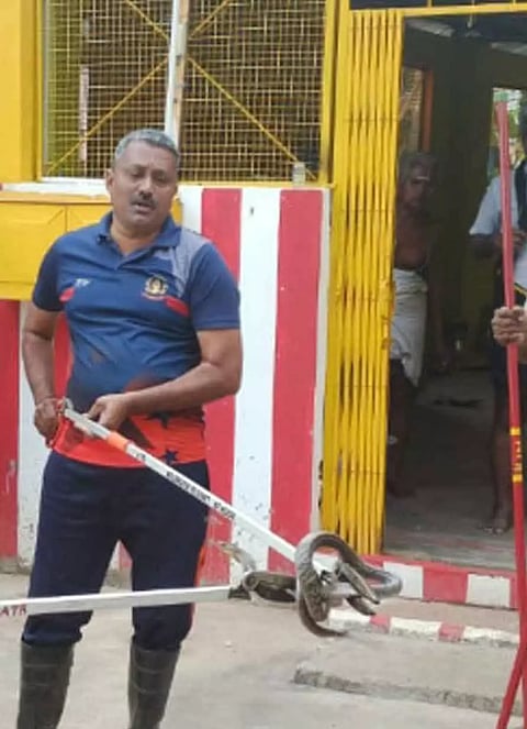 விநாயகர் கோவிலுக்குள் புகுந்த நல்ல பாம்பு
