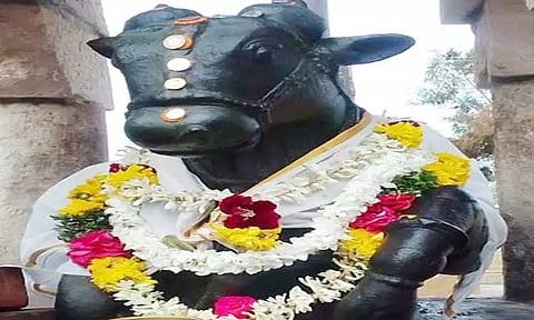 விளாத்திகுளம்மீனாட்சி சுந்தரேசுவரர் கோவிலில் பிரதோஷவிழா