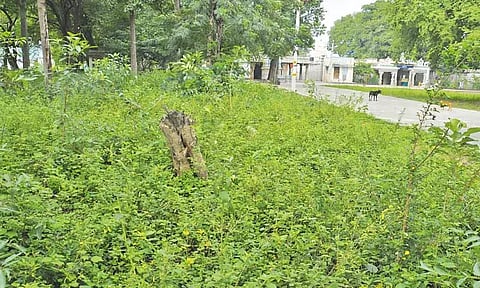 திருத்தணியில் புதர் மண்டி கிடக்கும் கோவில் வளாகம்; சீரமைக்க நடவடிக்கை எடுக்கப்படுமா?