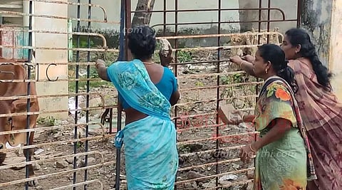 சுற்றித்திரிந்த மாடுகளை பிடித்து நகராட்சி வளாகத்தில் அடைப்பு