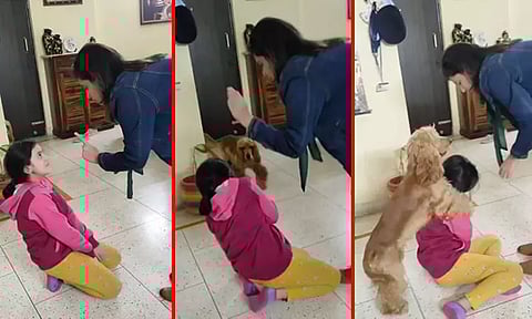 எப்போதும் உனக்காக, உனை காக்க... தோழியை அடி வாங்காமல் தடுத்து, போராடிய செல்ல பிராணி