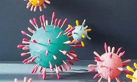 மீண்டும் கொரோனாவின் கோரமுகம்