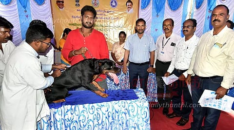 இலவச வெறிநோய் தடுப்பூசி முகாம்