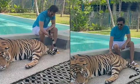 புலியுடன் வீடியோ எடுத்து விமர்சனத்திற்கு ஆளான நடிகர் சந்தானம்