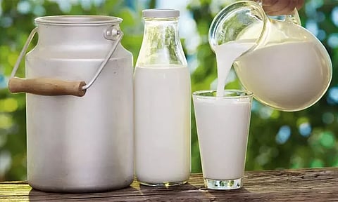 பால் விலையை லிட்டருக்கு 4 ரூபாய் உயர்த்த புதுச்சேரி அரசு முடிவு...!