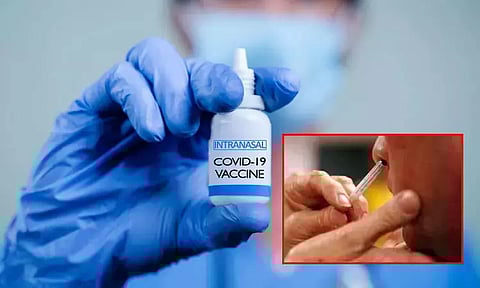 நாசி வழி கொரோனா தடுப்பூசி: அரசு, தனியார் மருத்துவமனைகளுக்கான விலை நிர்ணய விவரம் வெளியீடு