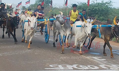 மாட்டுவண்டி பந்தயம்