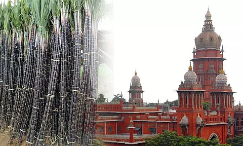 பொங்கல் பரிசு தொகுப்புடன் கரும்பும் வழங்கக் கோரி ஐகோர்ட்டில் வழக்கு: இன்று விசாரணை