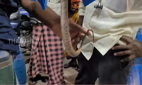 பள்ளி மாணவனை கடித்த பாம்புடன் மருத்துவமனைக்கு சென்ற உறவினர் - மருத்துவர்கள் அதிர்ச்சி