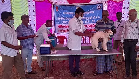 மொரப்பூரில்வெறிநோய் தடுப்பூசி சிறப்பு முகாம்