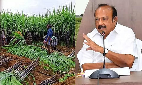 பொங்கல் பரிசு தொகுப்புக்கு கரும்பு கொள்முதல் செய்வதில் இடைத்தரகர்கள் ஈடுபட்டால் கடும் நடவடிக்கை - அமைச்சர் எம்.ஆர்.கே.பன்னீர்செல்வம்