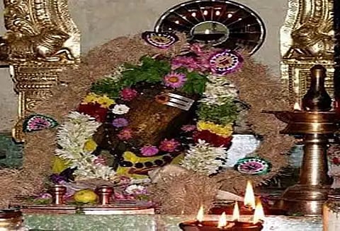 சதுரகிரி மலையில் மூலிகைப்பண்ணை அமைக்கப்படுமா?