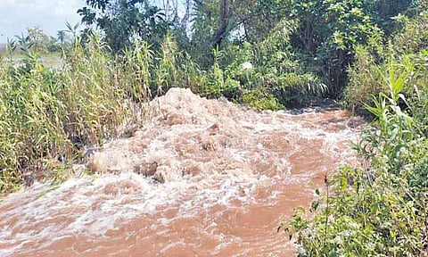 உத்திரமேரூர் அருகே ஏரி உடைந்து தண்ணீர் வெளியேற்றம்