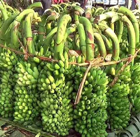 வாழைத்தார் விலை உயர்வு