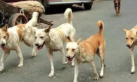 கோப்புப்படம்