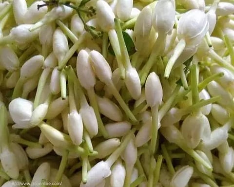 முல்லை பூ கிலோ ரூ.1,500- க்கு விற்பனை