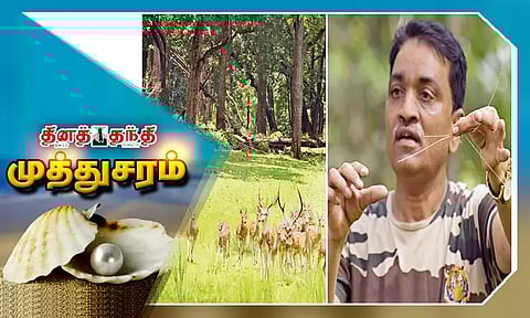 புல் மனிதன் - டாக்டர் கஜானன் முராட்கர்