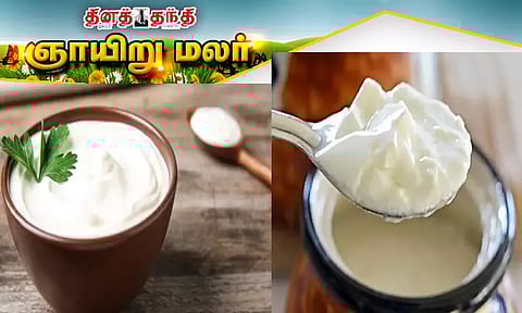 குளிர்காலத்தில் தயிர் சாப்பிடலாமா?