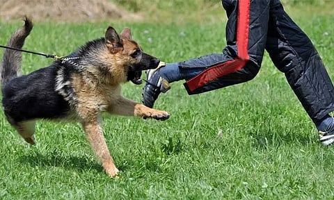 Image Courtesy: hauptman-obrien.net