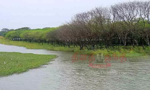 பறவைகள் இன்றி காணப்படும் தேர்த்தங்கல் சரணாலயம்