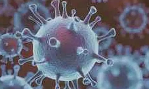 கர்நாடகத்தில் ஒருவருக்கு புதிய வகை கொரோனா?