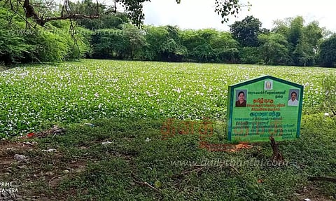 குளத்தில் புதர் மண்டி கிடக்கும் ஆகாயத்தாமரை செடிகள் அகற்றப்படுமா?
