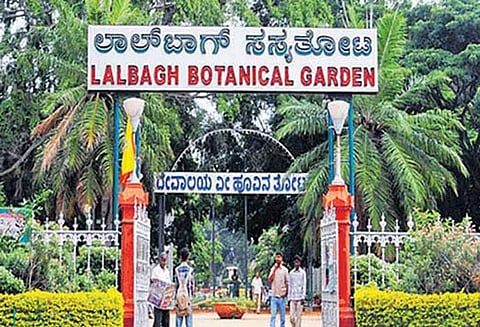 லால்பாக்கில் வருகிற 19-ந் தேதி மலர் கண்காட்சி தொடக்கம்